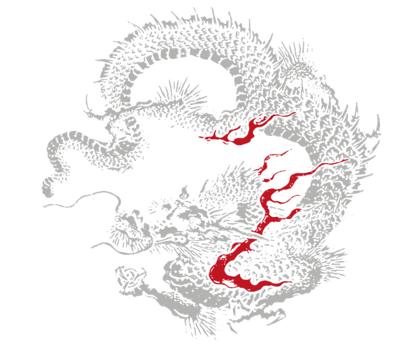 Needen 11380-N1DD - T-Shirt Dragon