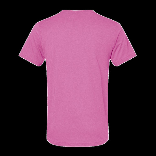 Bella+Canvas 3413C - t-shirt unisexe Triblend à manches courtes