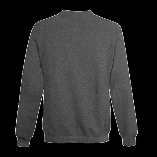 Champion S600 - Sweat à col roulé Eco