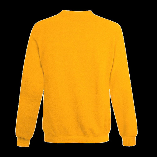 Champion S600 - Sweat à col roulé Eco