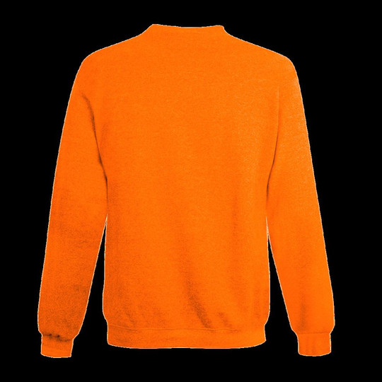 Champion S600 - Sweat à col roulé Eco