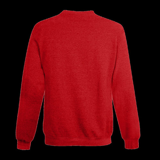 Champion S600 - Sweat à col roulé Eco