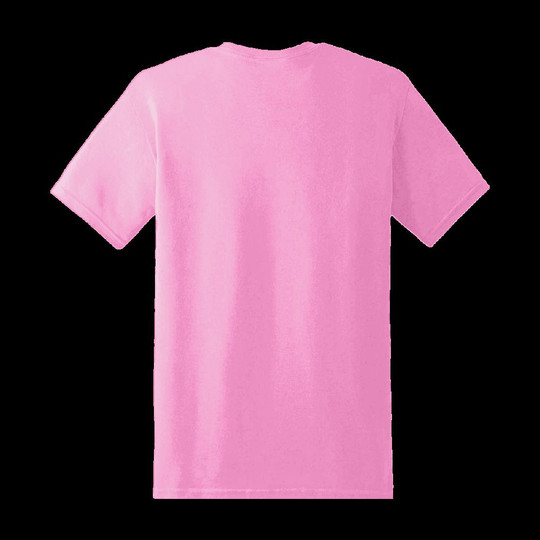 Gildan 8000 - Adult DryBlend® T-Shirt