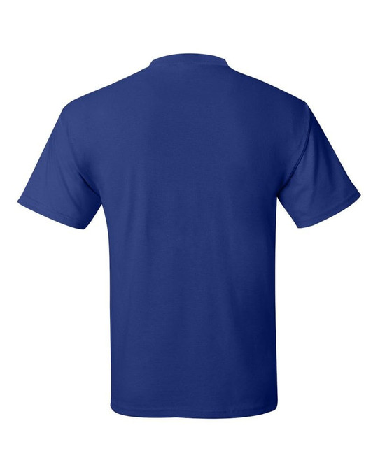 Hanes 5170 - ComfortBlend® EcoSmart® T-Shirt