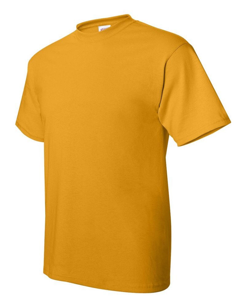 Hanes 5170 - ComfortBlend® EcoSmart® T-Shirt