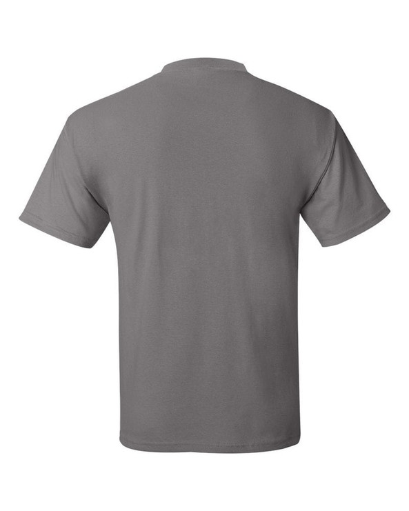 Hanes 5170 - ComfortBlend® EcoSmart® T-Shirt