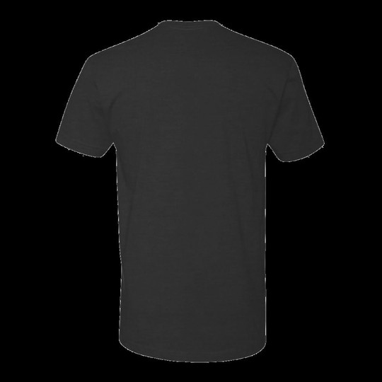 Next Level 6010 - Camiseta Triblend Crew