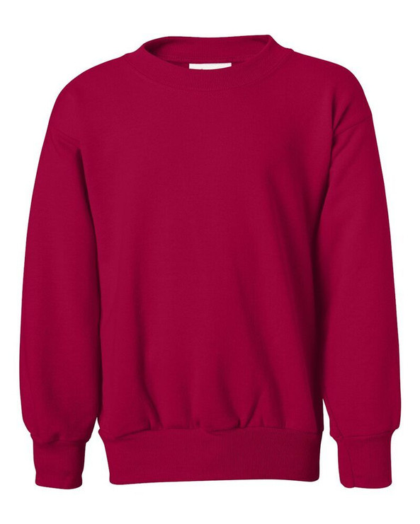 Hanes P360 - Sudadera juvenil EcoSmart