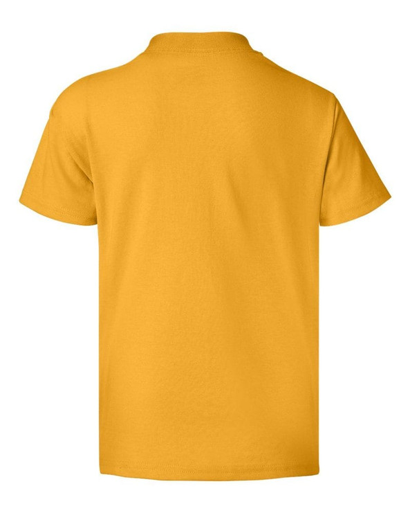 Hanes 5370 - Youth ComfortBlend® EcoSmart® T-Shirt