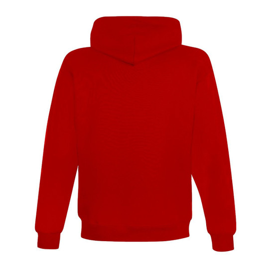 Champion S700 - Sweat à capuche Eco