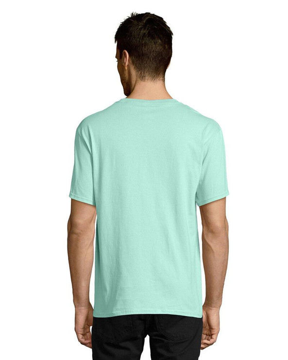 Hanes 5250 - Tagless® T-Shirt