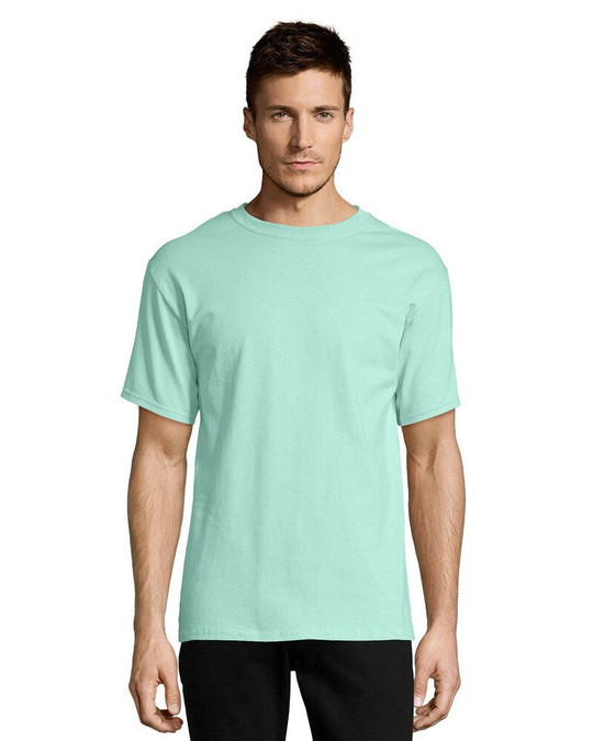 Hanes 5250 - Tagless® T-Shirt