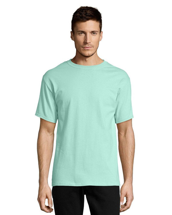 Hanes 5250 - Tagless® T-Shirt