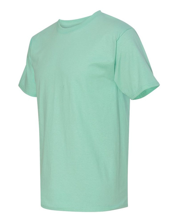 Hanes 5250 - Tagless® T-Shirt