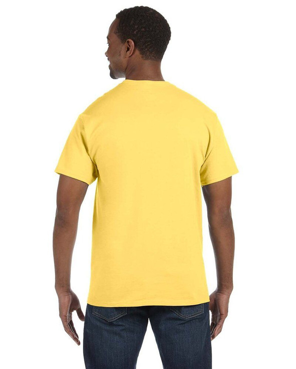 Hanes 5250 - Tagless® T-Shirt