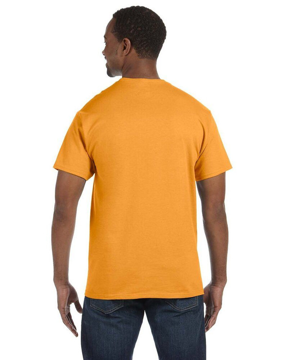 Hanes 5250 - Tagless® T-Shirt
