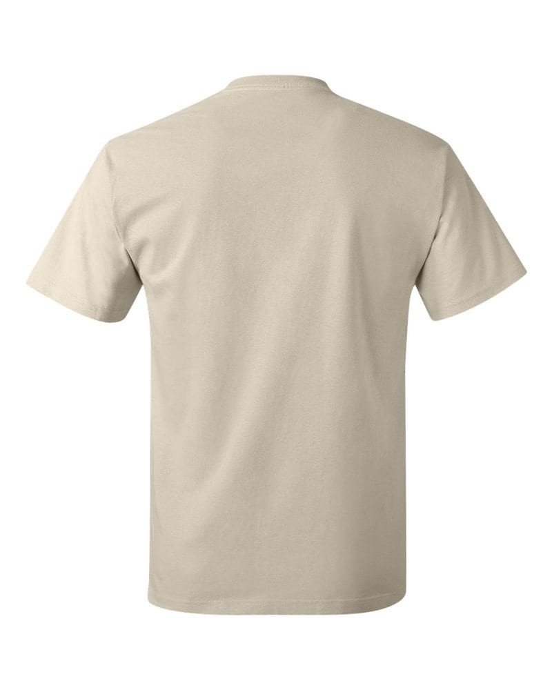 Hanes 5250 - Tagless® T-Shirt