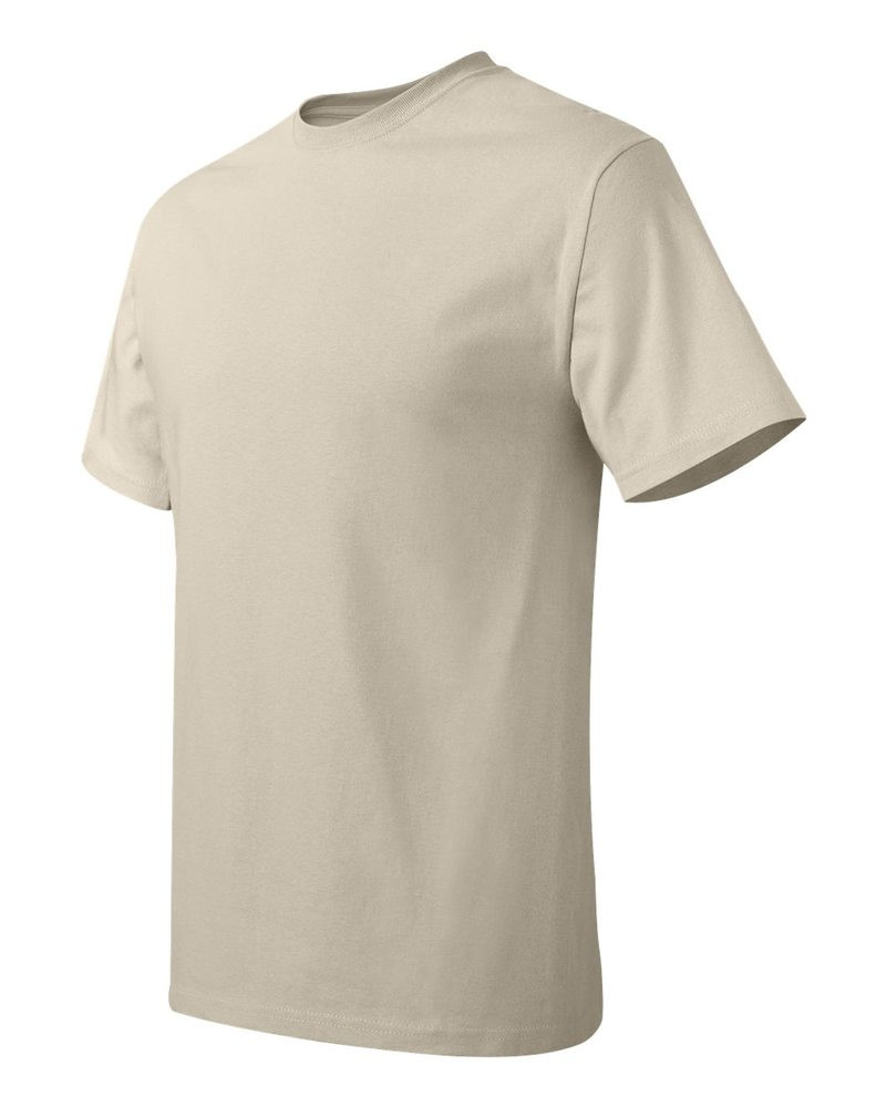 Hanes 5250 - Tagless® T-Shirt