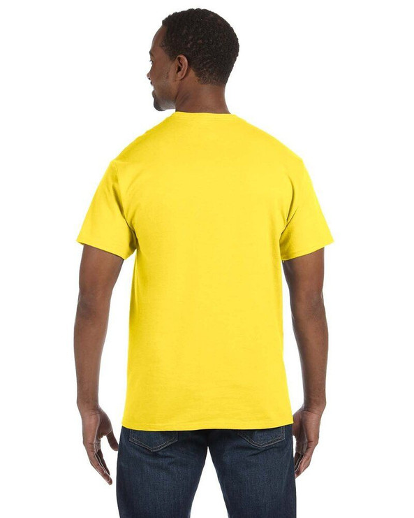 Hanes 5250 - Camiseta Tagless