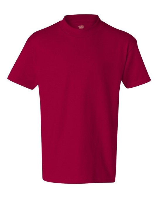 Hanes 5450 - Youth Authentic-T T-Shirt