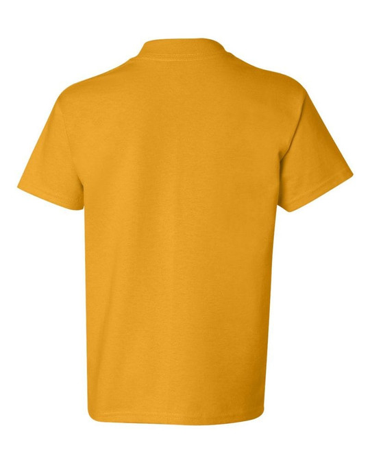Hanes 5450 - Youth Authentic-T T-Shirt