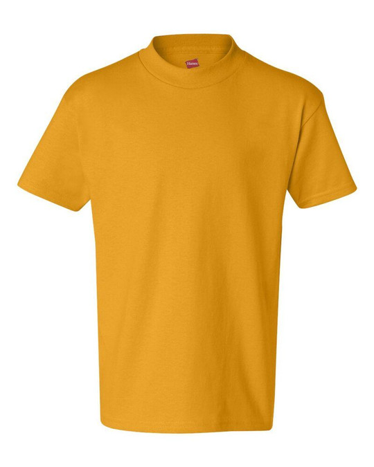 Hanes 5450 - Youth Authentic-T T-Shirt