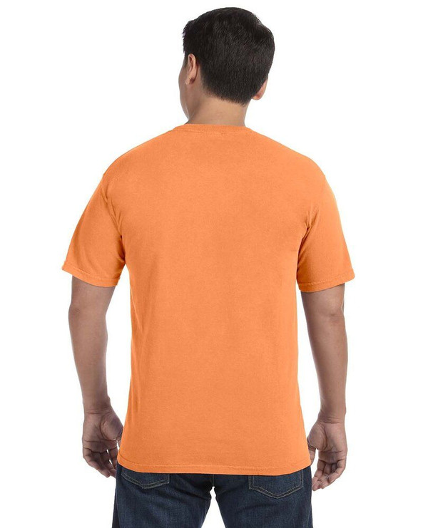 Comfort Colors CC1717 - Adult Heavyweight Ring Spun Tee