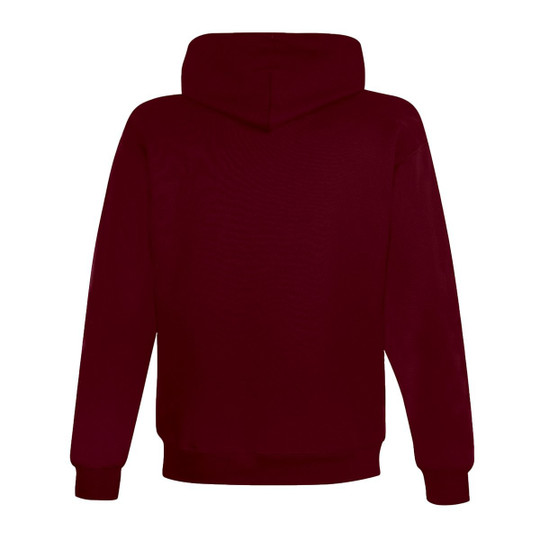 Champion S700 - Sweat à capuche Eco