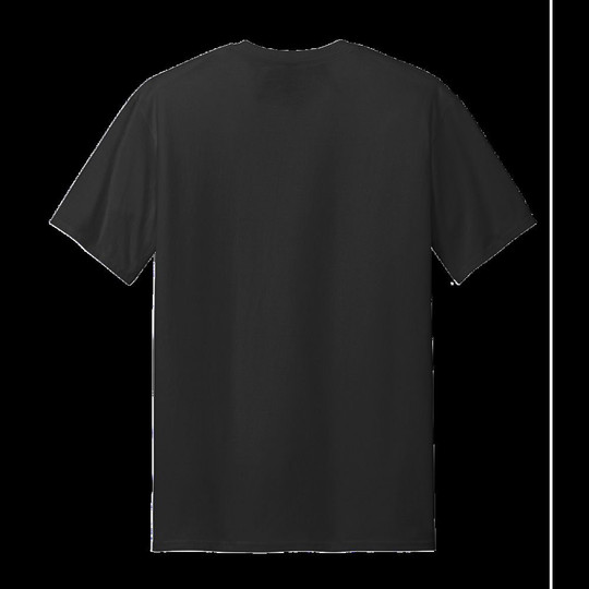 Alstyle AL1301 - Adult 6.0 oz., 100% Cotton T-Shirt