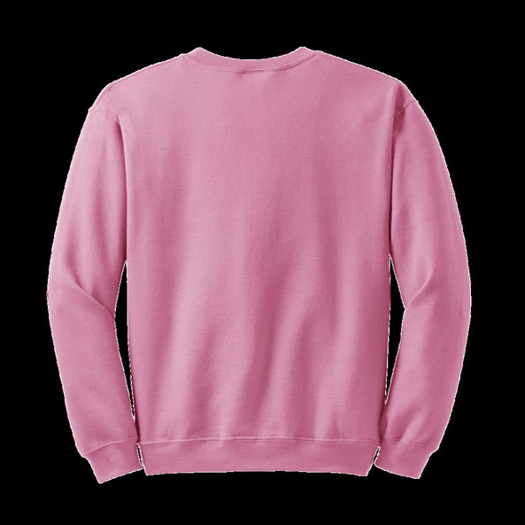 Radsow UXX03 - Radsow Apparel - Sweatshirt Col Rond Paris pour hommes