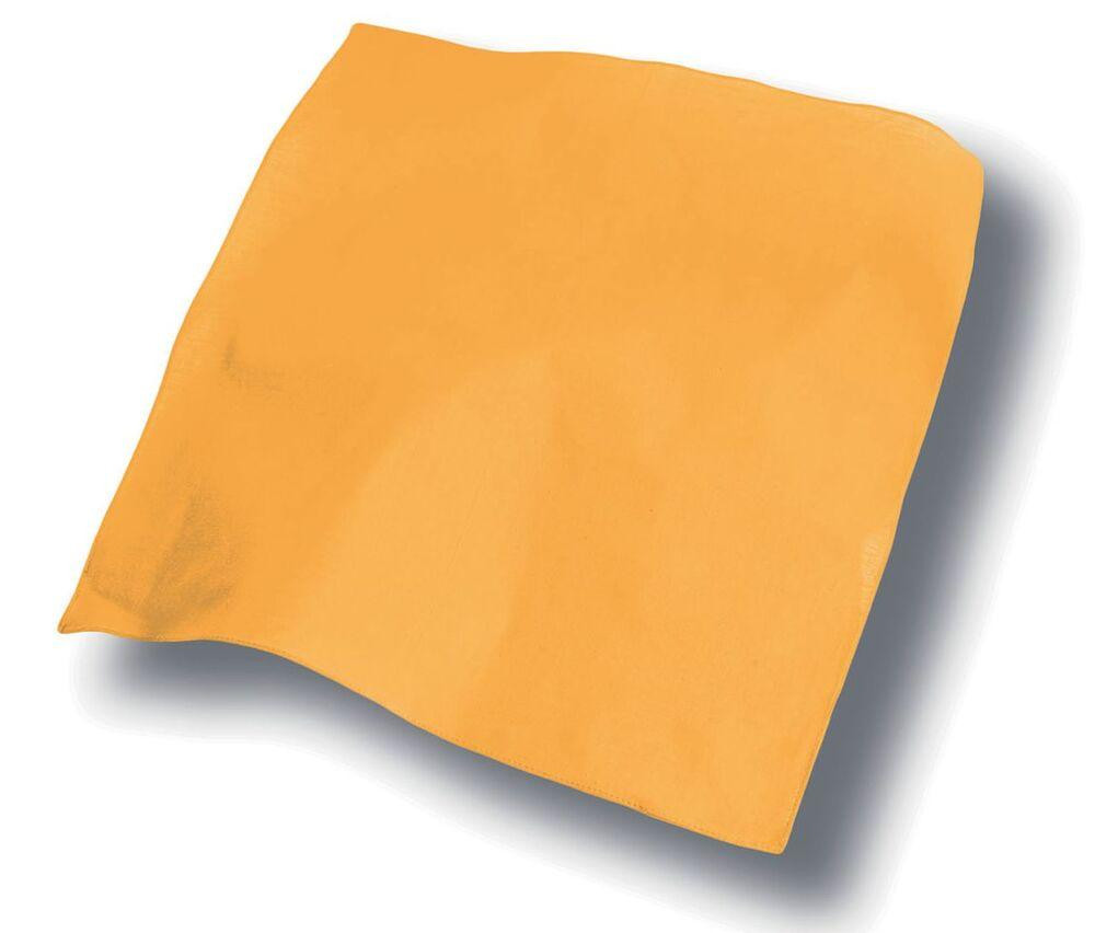 ATLANTIS AT014 - BANDANA GOAL
