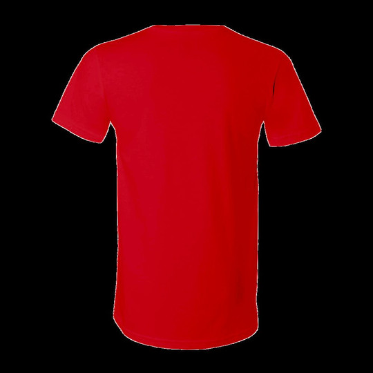 Bella+Canvas B3005 - T-shirt unisexe en jersey à manches courtes et col en V