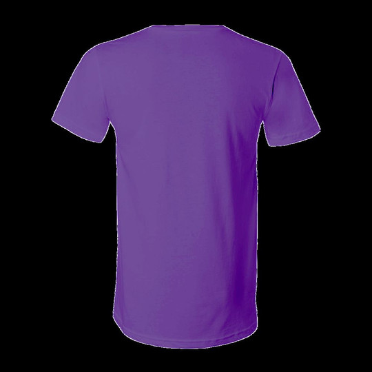 Bella+Canvas B3005 - T-shirt unisexe en jersey à manches courtes et col en V