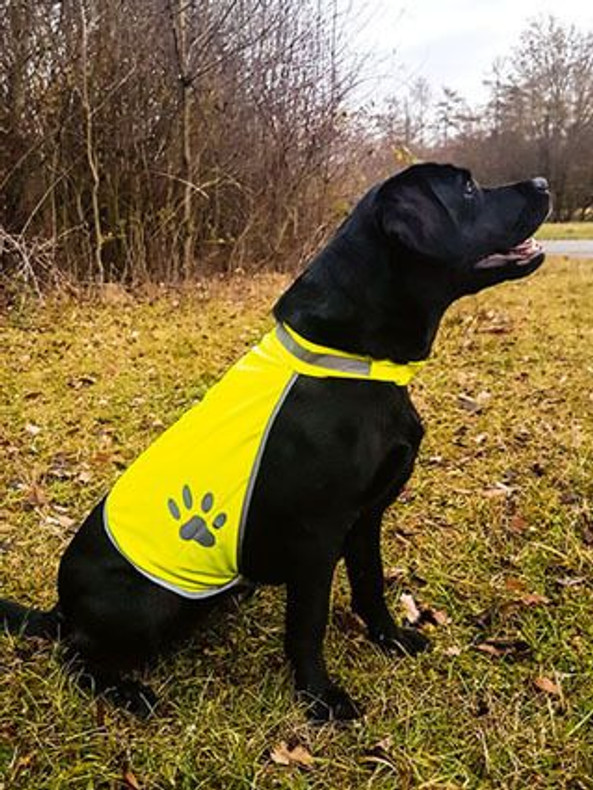 Korntex KXTH - High Visibility Dog Safety Vest