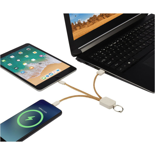 PF Concept 124294 - Bates wheat straw and cork 3-in-1 charging cable
