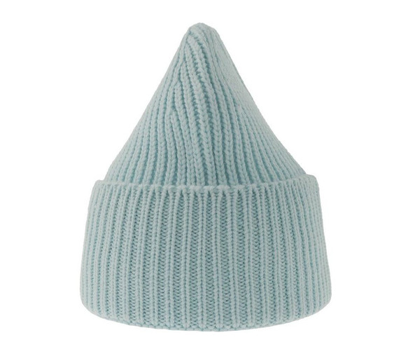 ATLANTIS HEADWEAR AT214 - Chunky rib-knitted beanie