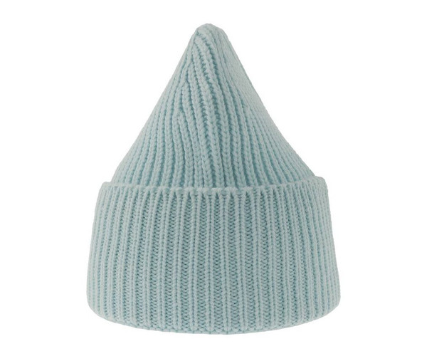 ATLANTIS HEADWEAR AT214 - Chunky rib-knitted beanie