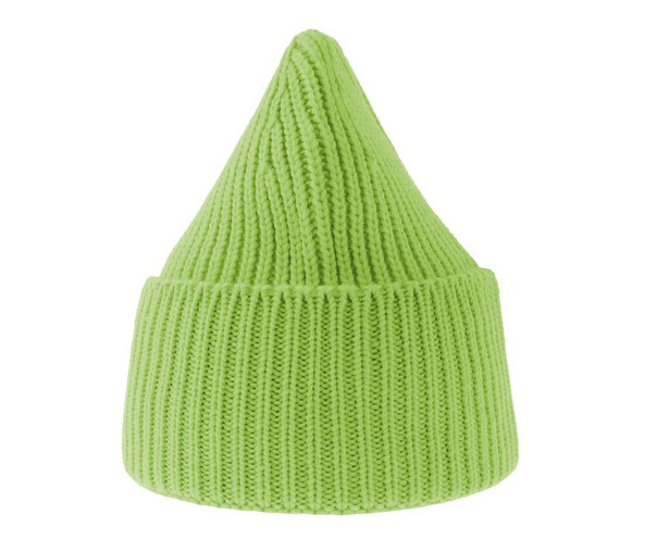 ATLANTIS HEADWEAR AT214 - Chunky rib-knitted beanie