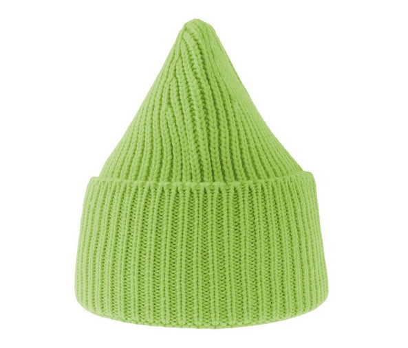 ATLANTIS HEADWEAR AT214 - Chunky rib-knitted beanie
