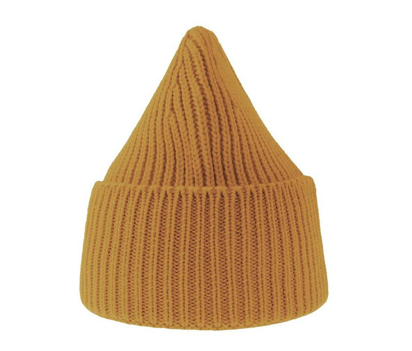 ATLANTIS HEADWEAR AT214 - Chunky rib-knitted beanie