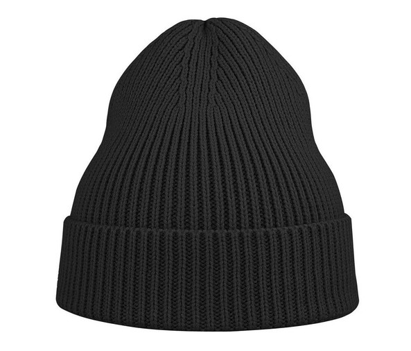 ATLANTIS HEADWEAR AT217 - Recycled polyester beanie