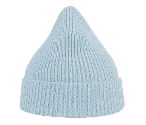 ATLANTIS HEADWEAR AT217 - Recycled polyester beanie