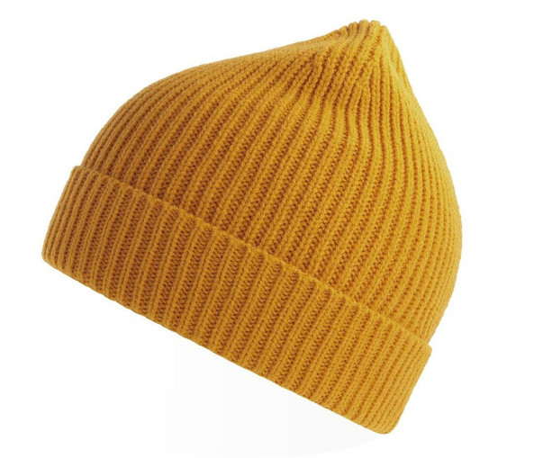 ATLANTIS HEADWEAR AT217 - Recycled polyester beanie