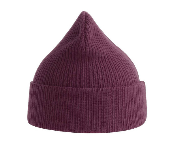 ATLANTIS HEADWEAR AT230 - Organic cotton beanie