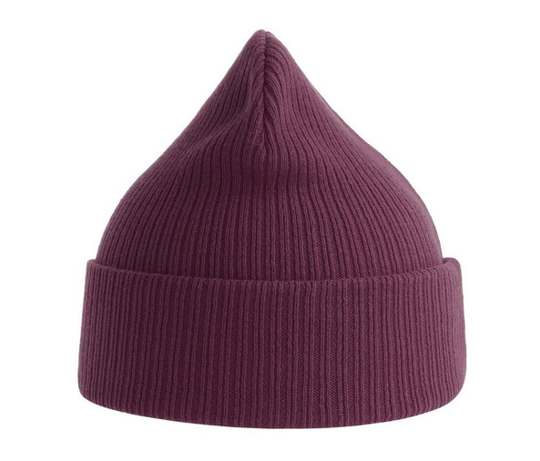 ATLANTIS HEADWEAR AT230 - Organic cotton beanie