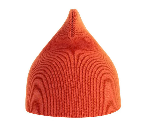 ATLANTIS HEADWEAR AT231 - Organic cotton beanie