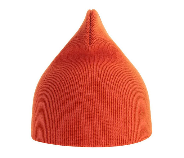 ATLANTIS HEADWEAR AT231 - Organic cotton beanie