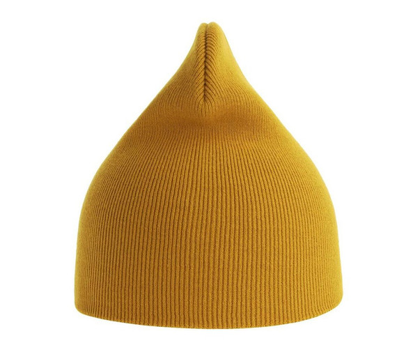 ATLANTIS HEADWEAR AT231 - Organic cotton beanie