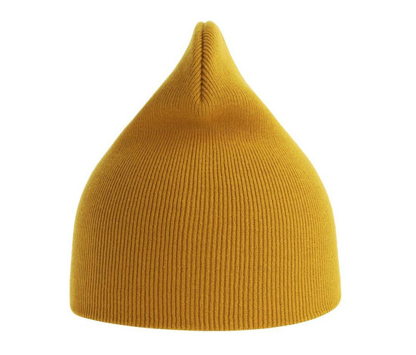 ATLANTIS HEADWEAR AT231 - Organic cotton beanie