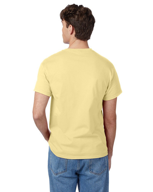 Hanes 5250T - Camiseta Authentic-T para hombre